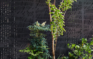 Fitzroy House | Julie Firkin Architects Fitzroy House | Julie Firkin Architects | Builtworks.com.au