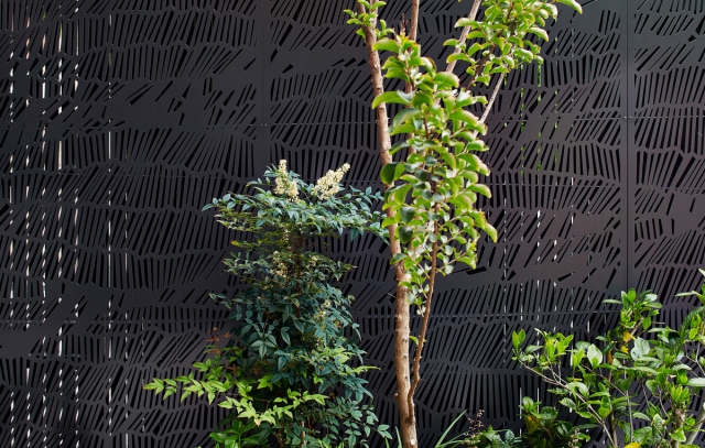 Fitzroy House | Julie Firkin Architects Fitzroy House | Julie Firkin Architects | Builtworks.com.au