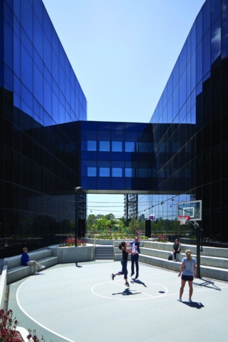 Botanicca | Design: Gray Puksand | Photography: Peter Clarke | Builtworks.com.au Botanicca | Design: Gray Puksand | Photography: Peter Clarke | Builtworks.com.au