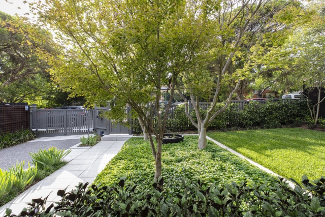 Canterbury Landscape Project | Ian Barker Gardens Canterbury Landscape Project | Ian Barker Gardens | Builtworks.com.au