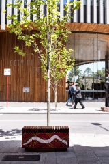 #potplantuprising | Project Management: Sandy Anghie Architect | Images: Dion Robeson | Builtworks.com.au