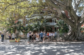 #potplantuprising | Project Management: Sandy Anghie Architect | Images: Dion Robeson | Builtworks.com.au