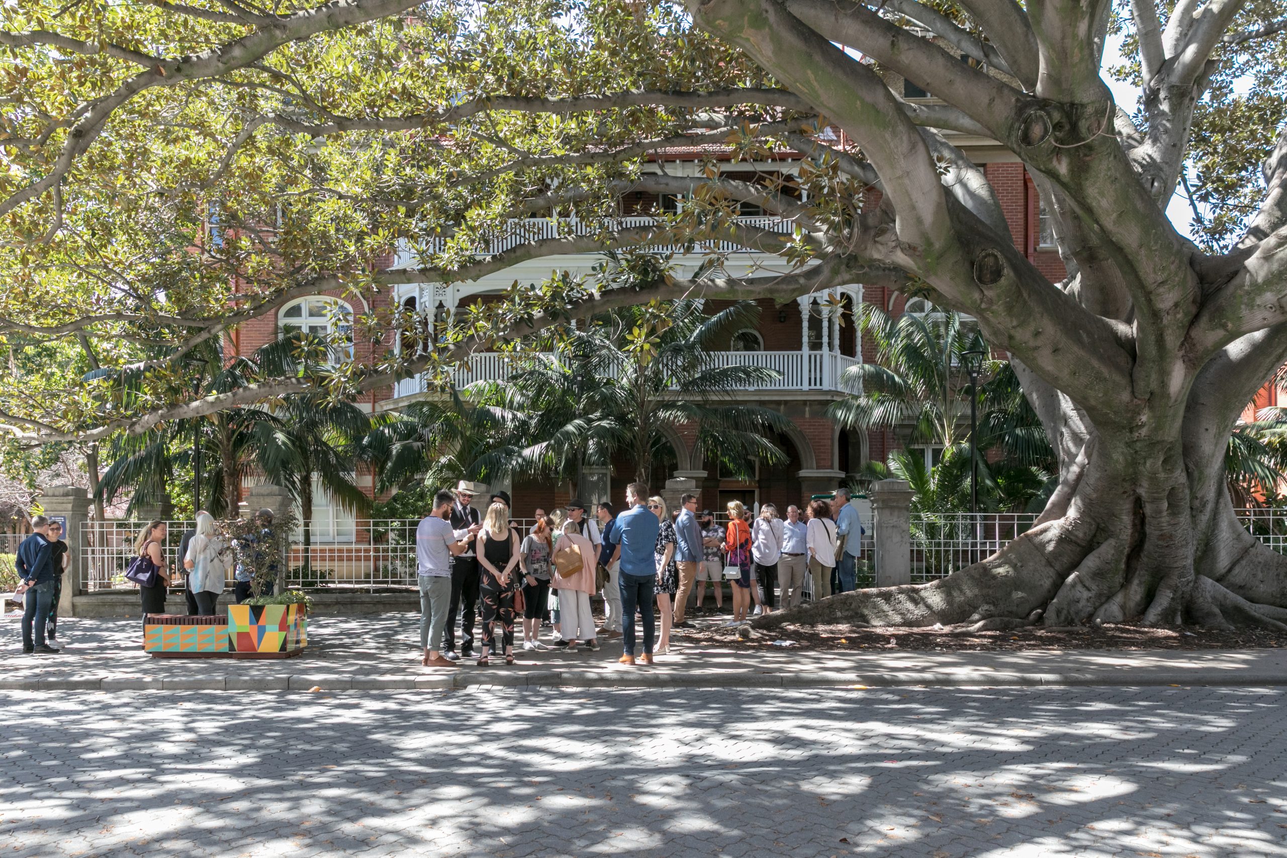 #potplantuprising | Project Management: Sandy Anghie Architect | Images: Dion Robeson | Builtworks.com.au