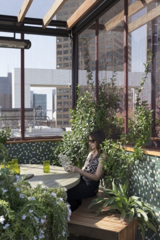 Phoenix Rooftop | Design: BENT Architecture | Images: Dianna Snape Phoenix Rooftop | Design: BENT Architecture | Images: Dianna Snape | Builtworks.com.au