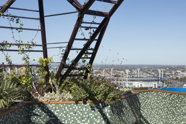 Phoenix Rooftop | Design: BENT Architecture | Images: Dianna Snape Phoenix Rooftop | Design: BENT Architecture | Images: Dianna Snape | Builtworks.com.au