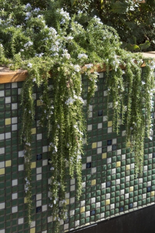 Phoenix Rooftop | Design: BENT Architecture | Images: Dianna Snape Phoenix Rooftop | Design: BENT Architecture | Images: Dianna Snape | Builtworks.com.au