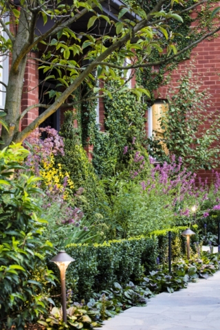 Camberwell Garden Project 1 | Design: Ian Barker Gardens | Images: Claire Takacs | Builtworks.com.au