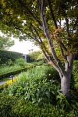 Malvern Garden Project | Design: Ian Barker Gardens | Images: Erik Holt | Builtworks.com.au