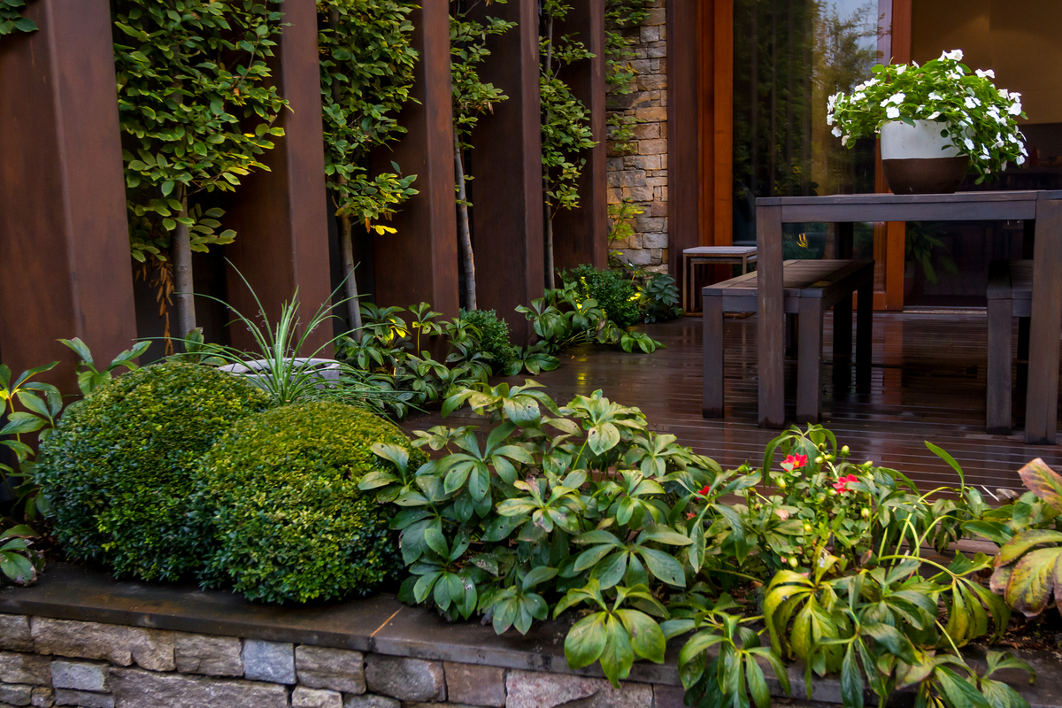 North Fitzroy Project  | Design: Ian Barker Gardens | Images: Erik Holt | Builtworks.com.au