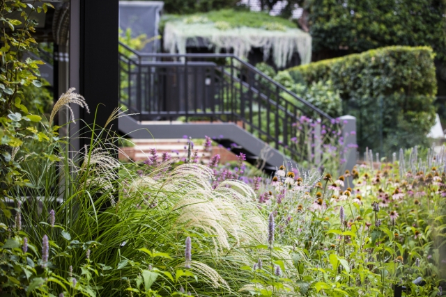 Glen Iris Project | Design: Ian Barker Gardens | Images: Claire Takacs | Builtworks.com.au