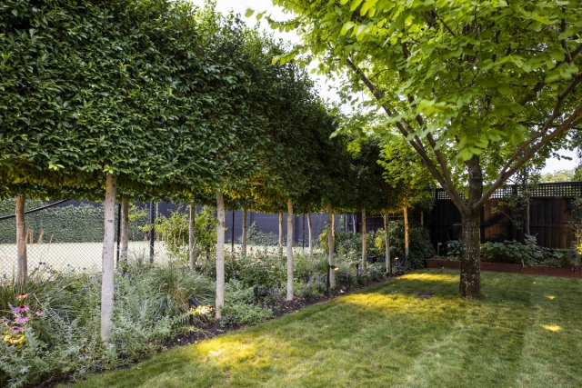 Glen Iris Project | Design: Ian Barker Gardens | Images: Claire Takacs | Builtworks.com.au