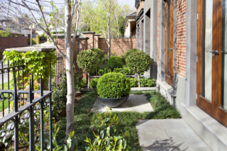 Balwyn Project  | Ian Barker Gardens | Builtworks.com.au