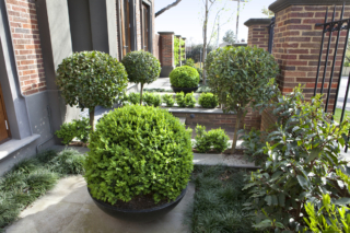 Balwyn Project  | Ian Barker Gardens | Builtworks.com.au