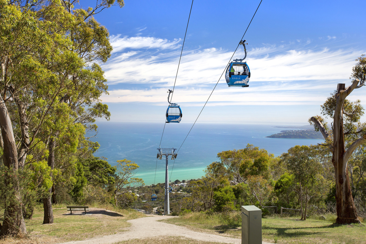 Arthurs Seat Eagle