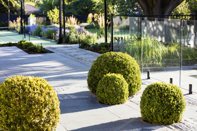 Camberwell Garden Project | Design: Ian Barker Gardens | Images: Claire Takacs | Builtworks.com.au