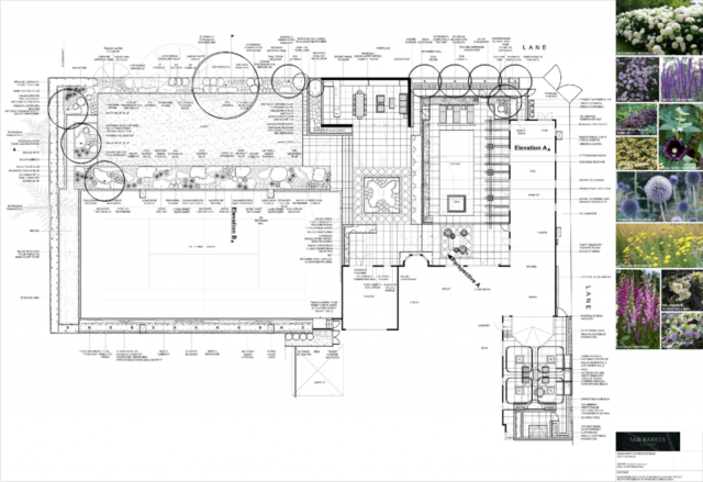 Camberwell Garden Project | Design: Ian Barker Gardens | Images: Claire Takacs | Builtworks.com.au