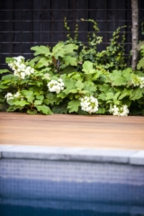 Sandringham Garden Project | Design: Ian Barker Gardens | Images: Erik Holt Sandringham Garden Project | Design: Ian Barker Gardens | Images: Erik Holt | Builtworks.com.au