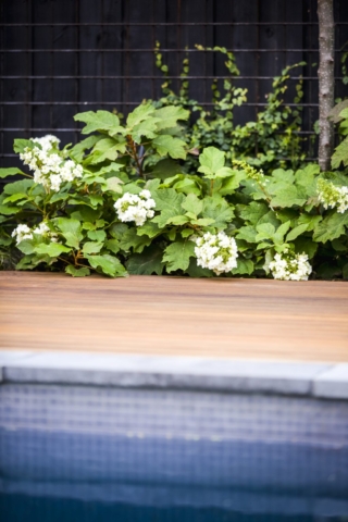 Sandringham Garden Project | Design: Ian Barker Gardens | Images: Erik Holt | Builtworks.com.au