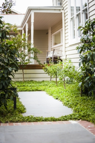 Sandringham Garden Project | Design: Ian Barker Gardens | Images: Erik Holt | Builtworks.com.au