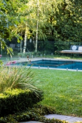 Box Hill Garden Project | Design: Ian Barker Gardens | Images: Claire Takacs Box Hill Garden Project | Design: Ian Barker Gardens | Images: Claire Takacs | Builtworks.com.au