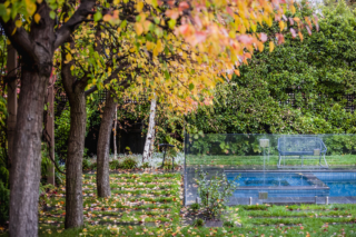 Box Hill Garden Project | Design: Ian Barker Gardens | Images: Claire Takacs Box Hill Garden Project | Design: Ian Barker Gardens | Images: Claire Takacs | Builtworks.com.au