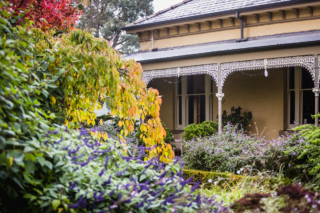 Box Hill Garden Project | Design: Ian Barker Gardens | Images: Claire Takacs Box Hill Garden Project | Design: Ian Barker Gardens | Images: Claire Takacs | Builtworks.com.au