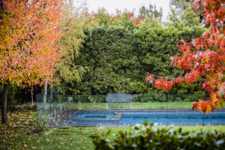 Box Hill Garden Project | Design: Ian Barker Gardens | Images: Claire Takacs Box Hill Garden Project | Design: Ian Barker Gardens | Images: Claire Takacs | Builtworks.com.au