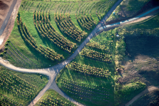 National Arboretum Canberra | Design: Tonkin Zulaikha Greer and Taylor Cullity Lethlean | Images: Brett Boardman and John Gollings | Builtworks.com.au