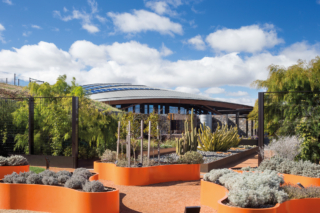 National Arboretum Canberra | Design: Tonkin Zulaikha Greer and Taylor Cullity Lethlean | Images: Brett Boardman and John Gollings | Builtworks.com.au