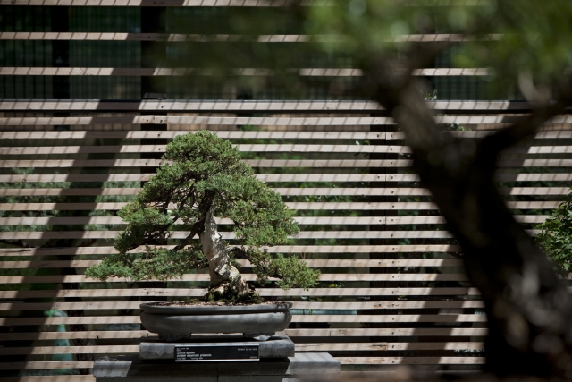 National Arboretum Canberra | Design: Tonkin Zulaikha Greer and Taylor Cullity Lethlean | Images: Brett Boardman and John Gollings National Arboretum Canberra | Design: Tonkin Zulaikha Greer and Taylor Cullity Lethlean | Images: Brett Boardman and John Gollings | Builtworks.com.au