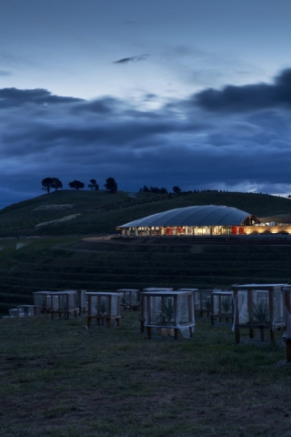 National Arboretum Canberra | Design: Tonkin Zulaikha Greer and Taylor Cullity Lethlean | Images: Brett Boardman and John Gollings National Arboretum Canberra | Design: Tonkin Zulaikha Greer and Taylor Cullity Lethlean | Images: Brett Boardman and John Gollings | Builtworks.com.au