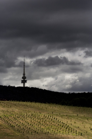 National Arboretum Canberra | Design: Tonkin Zulaikha Greer and Taylor Cullity Lethlean | Images: Brett Boardman and John Gollings National Arboretum Canberra | Design: Tonkin Zulaikha Greer and Taylor Cullity Lethlean | Images: Brett Boardman and John Gollings | Builtworks.com.au