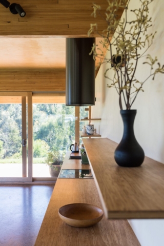 Buxton Rise | Design: Format Architects | Images: Ernesto Arriagada | Builtworks.com.au