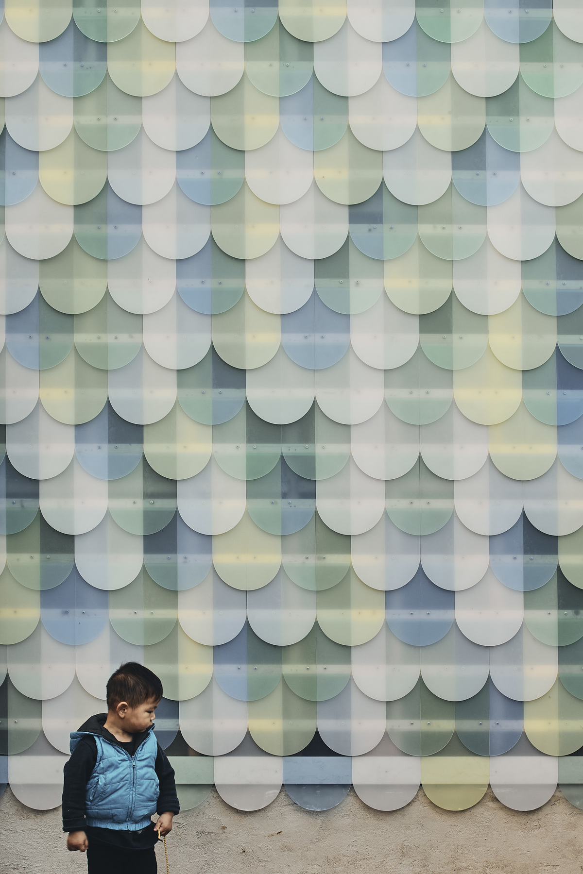 Colour Shingle