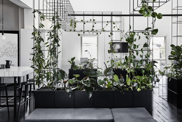 Candlefox HQ | Design: Tom Robertson Architects | Images: Lillie Thompson Candlefox HQ | Design: Tom Robertson Architects | Images: Lillie Thompson | Builtworks.com.au