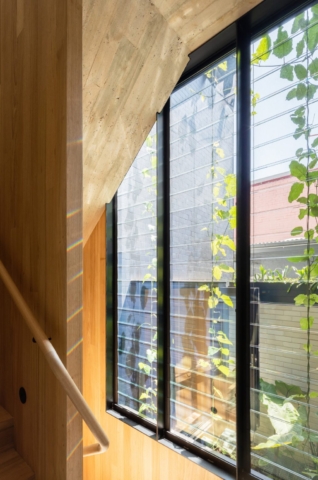 Concrete Blond | Design: Carter Williamson Architects | Images: Katherine Lu Concrete Blond | Design: Carter Williamson Architects | Images: Katherine Lu | Builtworks.com.au