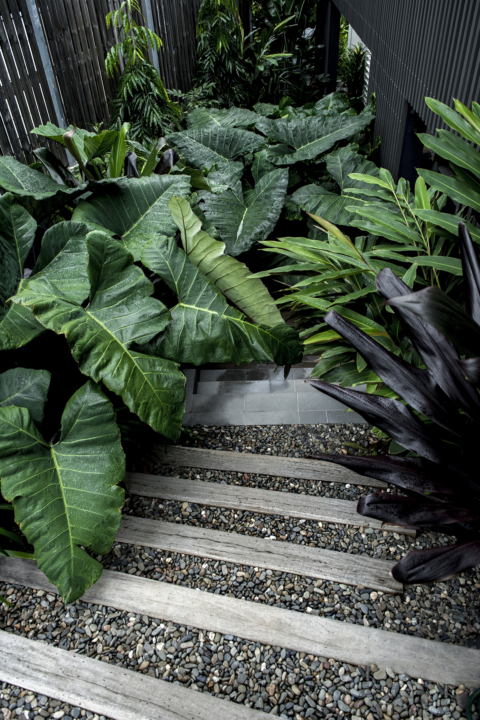 Yeronga House | Design: Lisa Breeze Architect | Images: Cathy Schusler | Builtworks.com.au