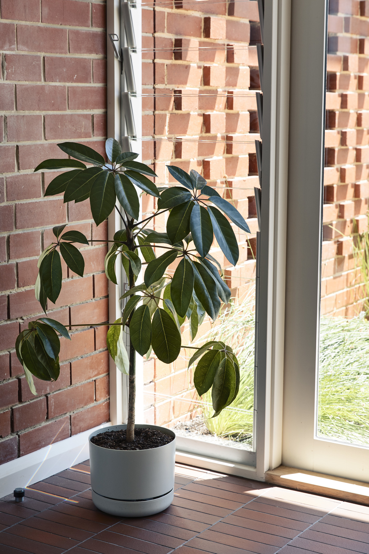 Frankston Mid Century Modern | Design: MRTN Architects | Images: Derek Swalwell | Builtworks.com.au