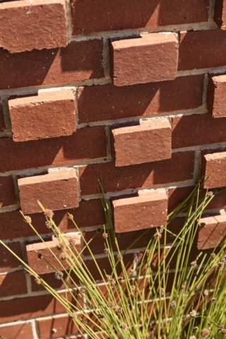 Frankston Mid Century Modern | Design: MRTN Architects | Images: Derek Swalwell Frankston Mid Century Modern | Design: MRTN Architects | Images: Derek Swalwell | Builtworks.com.au