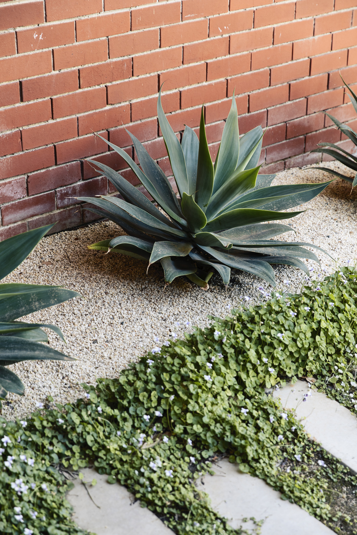 Frankston Mid Century Modern | Design: MRTN Architects | Images: Derek Swalwell | Builtworks.com.au