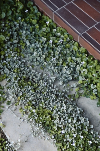 Frankston Mid Century Modern | Design: MRTN Architects | Images: Derek Swalwell Frankston Mid Century Modern | Design: MRTN Architects | Images: Derek Swalwell | Builtworks.com.au