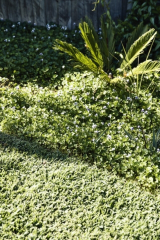 Frankston Mid Century Modern | Design: MRTN Architects | Images: Derek Swalwell Frankston Mid Century Modern | Design: MRTN Architects | Images: Derek Swalwell | Builtworks.com.au