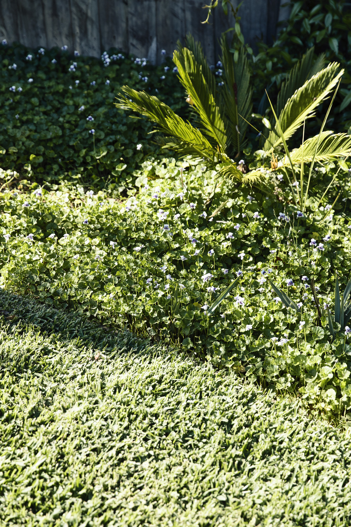 Frankston Mid Century Modern | Design: MRTN Architects | Images: Derek Swalwell | Builtworks.com.au