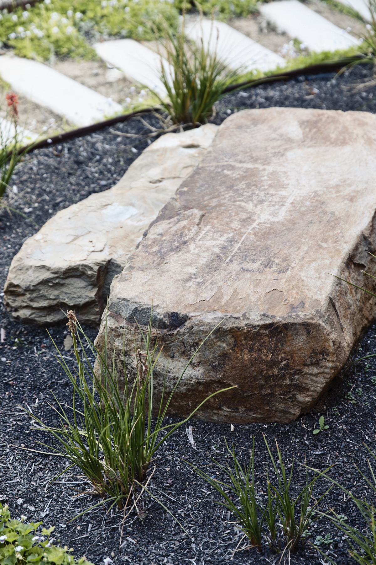 Frankston Mid Century Modern | Design: MRTN Architects | Images: Derek Swalwell | Builtworks.com.au