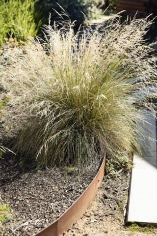 Frankston Mid Century Modern | Design: MRTN Architects | Images: Derek Swalwell Frankston Mid Century Modern | Design: MRTN Architects | Images: Derek Swalwell | Builtworks.com.au