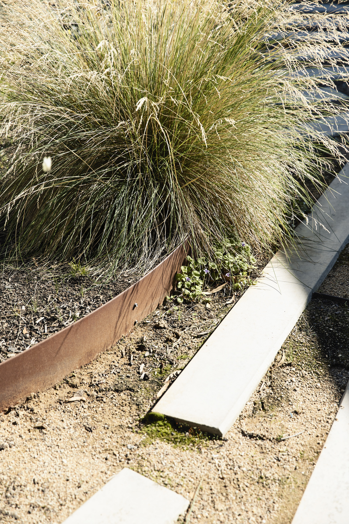 Frankston Mid Century Modern | Design: MRTN Architects | Images: Derek Swalwell | Builtworks.com.au