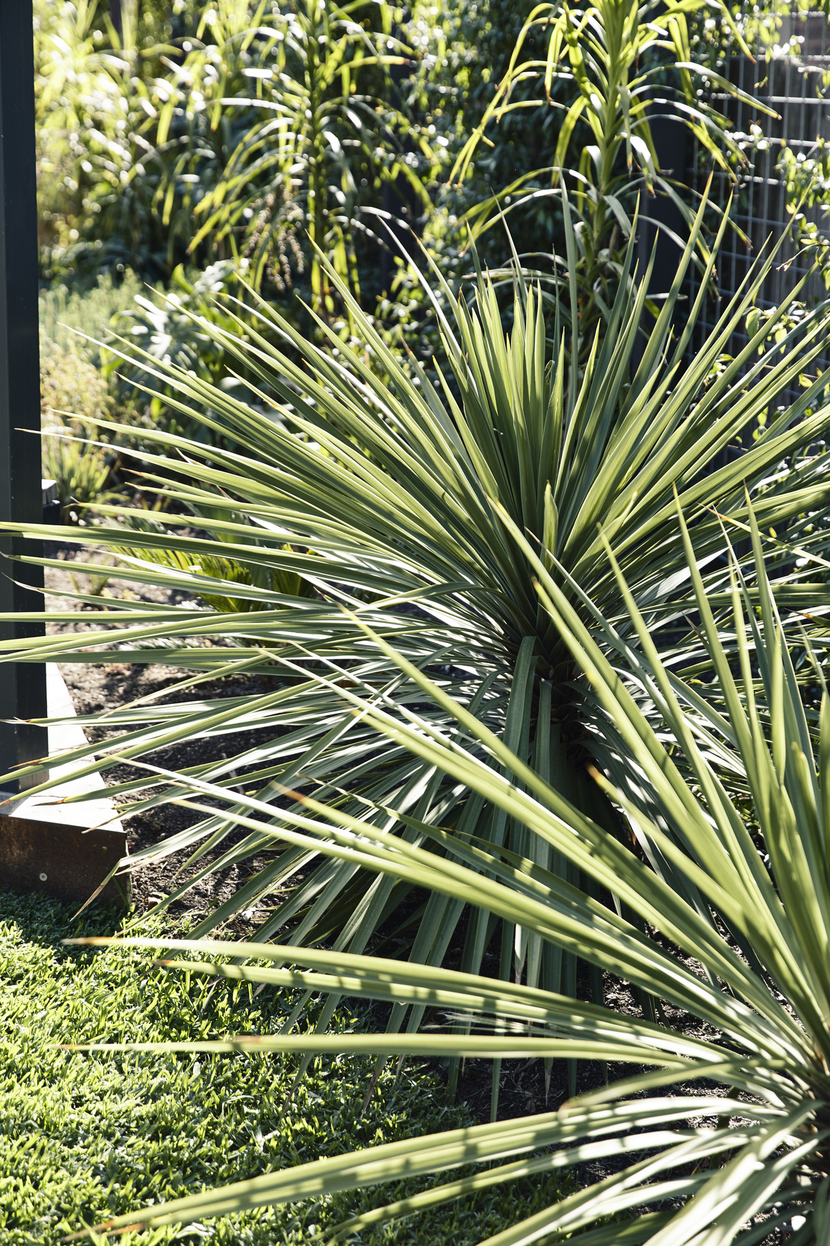 Frankston Mid Century Modern | Design: MRTN Architects | Images: Derek Swalwell | Builtworks.com.au