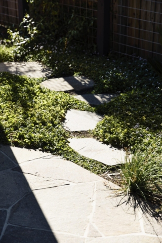 Frankston Mid Century Modern | Design: MRTN Architects | Images: Derek Swalwell Frankston Mid Century Modern | Design: MRTN Architects | Images: Derek Swalwell | Builtworks.com.au