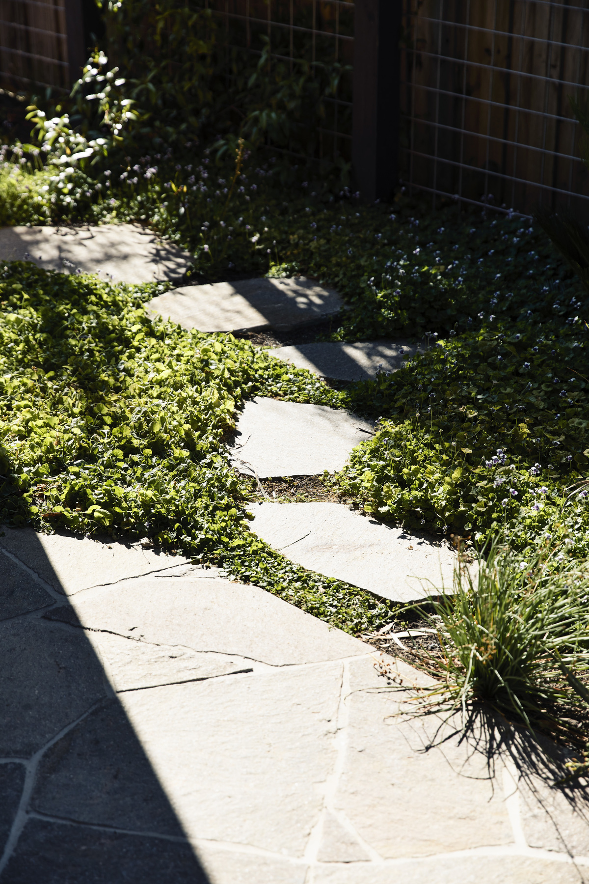 Frankston Mid Century Modern | Design: MRTN Architects | Images: Derek Swalwell | Builtworks.com.au