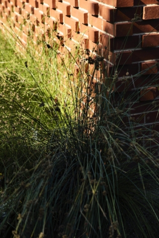 Frankston Mid Century Modern | Design: MRTN Architects | Images: Derek Swalwell Frankston Mid Century Modern | Design: MRTN Architects | Images: Derek Swalwell | Builtworks.com.au